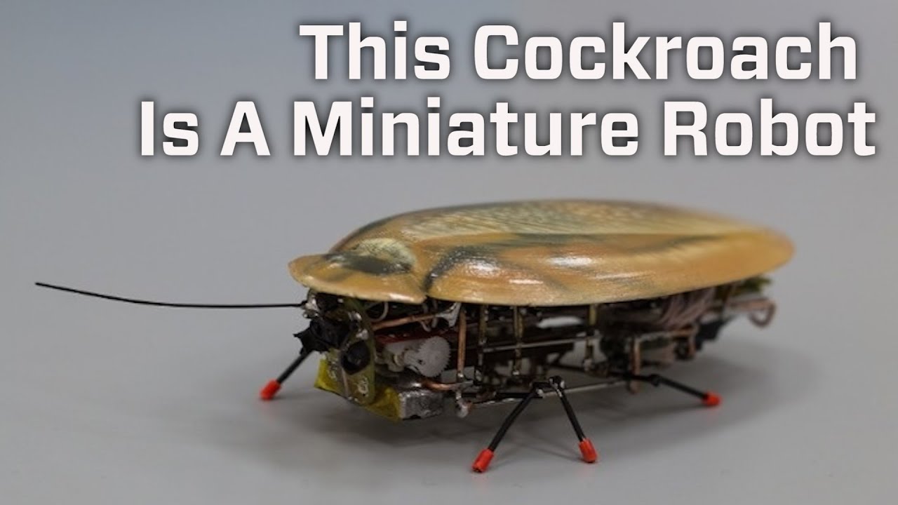 This Cockroach Is A Miniature Robot