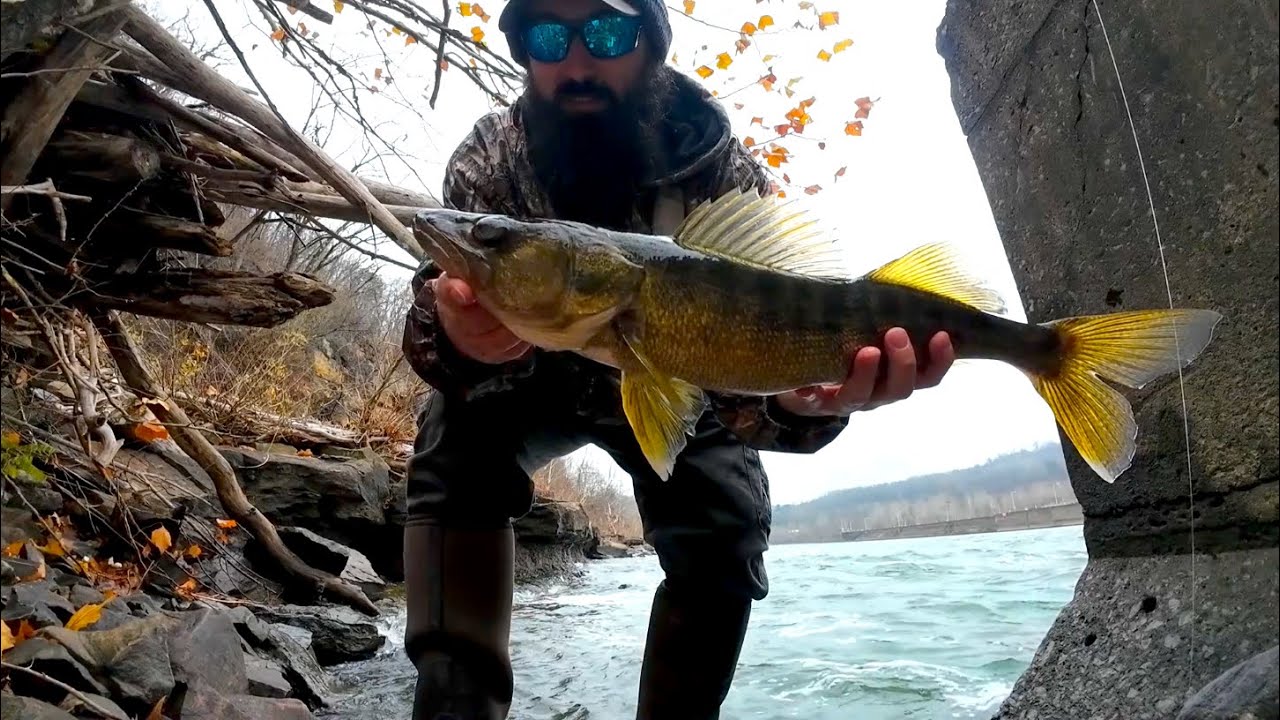 Судак на реке Мон | Счастливого Рождества | Хвостовые части блесны Ishtech 3" Chaos Paddle оказал...