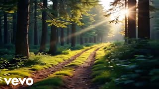 Fleeting Shadows - Canopy sunprints and soft footsteps (Official Music Video)