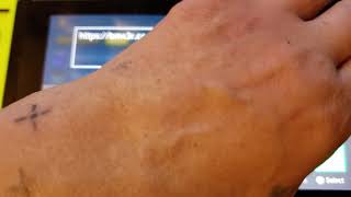 Goldleaf internet browser working screenshot 5