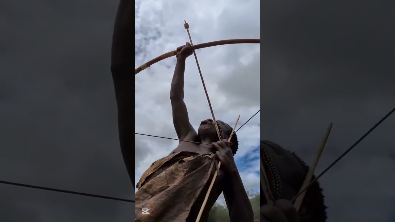 Forest Awareness Moment | Hunter Notices Monkey Movement Above | Wildlife Observation