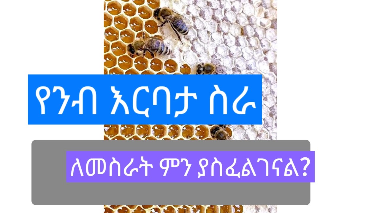 የንብ እርባታ ቢዝነስ ለመጀመር ምን ያስፈልገናል?