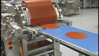 WS1000 Series Waterfall Sauce Applicator