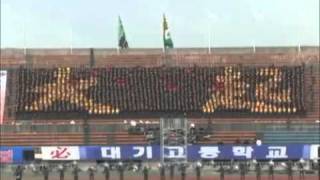 South Korean Human LCD (a closer view)