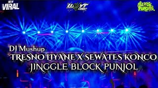 Dj Mushup Tresno Liyane X Sewates Konco  Block Punjol  Luwyt 