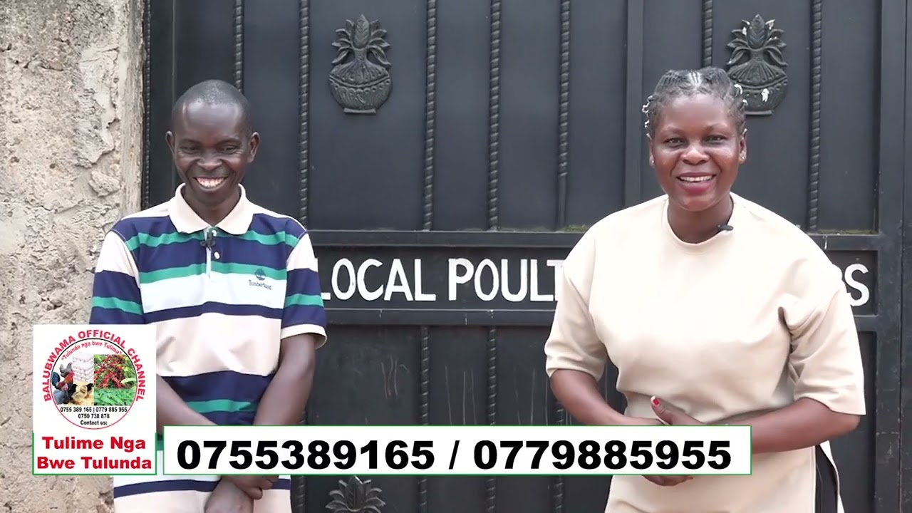 Musawo Ne Engineer Enkoko Ebakoze Bulunji