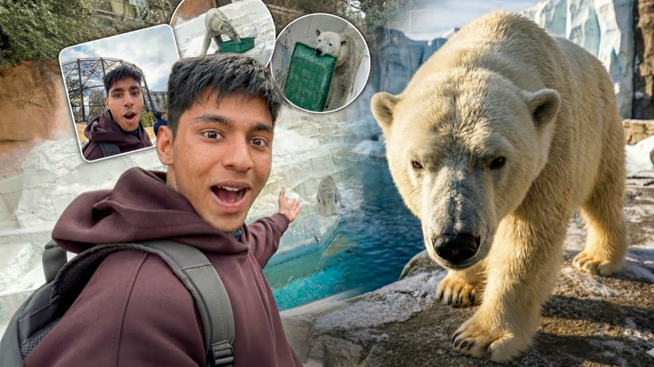 Living with Animals for a day ! JAPAN 🇯🇵