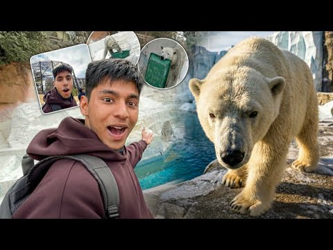 Living with Animals for a day ! JAPAN π―π΅