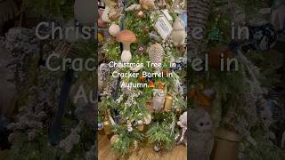 Autumn Christmas Magic in Florida: Owl-Adorned Tree Tour at Cracker Barrel! #christmas #owl #tree