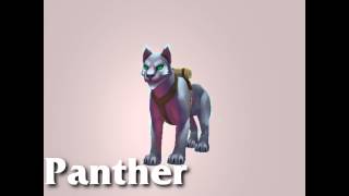Pets of Torchlight II