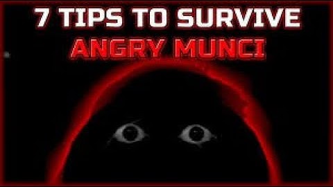 7 Tips to help you survive angry munci