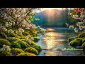 Peaceful Meditation Music for Deep Calm and Gentle Emotional Healing