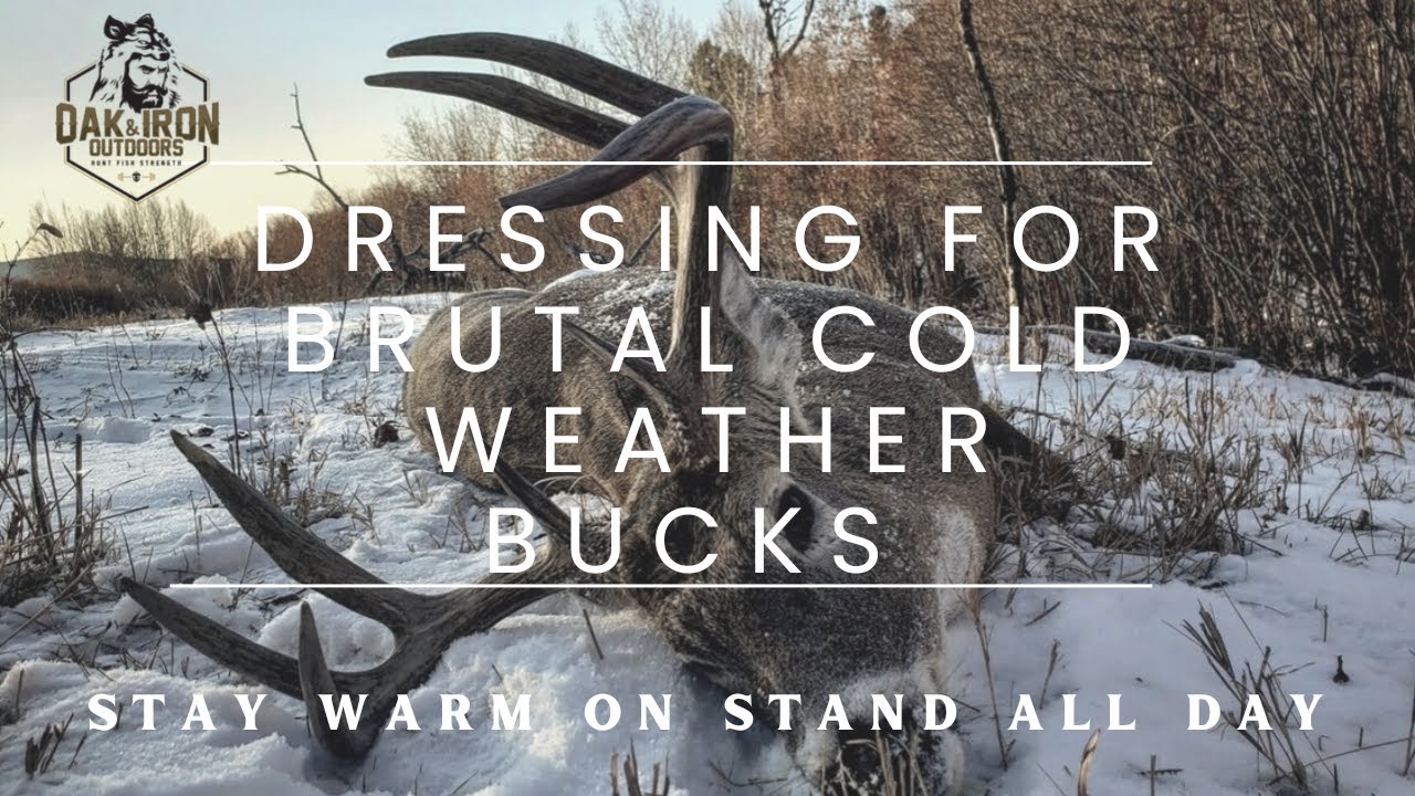 Extended Bucks Forecast: Now is the Time to Take Advantage