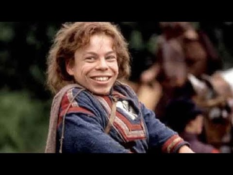 Willow