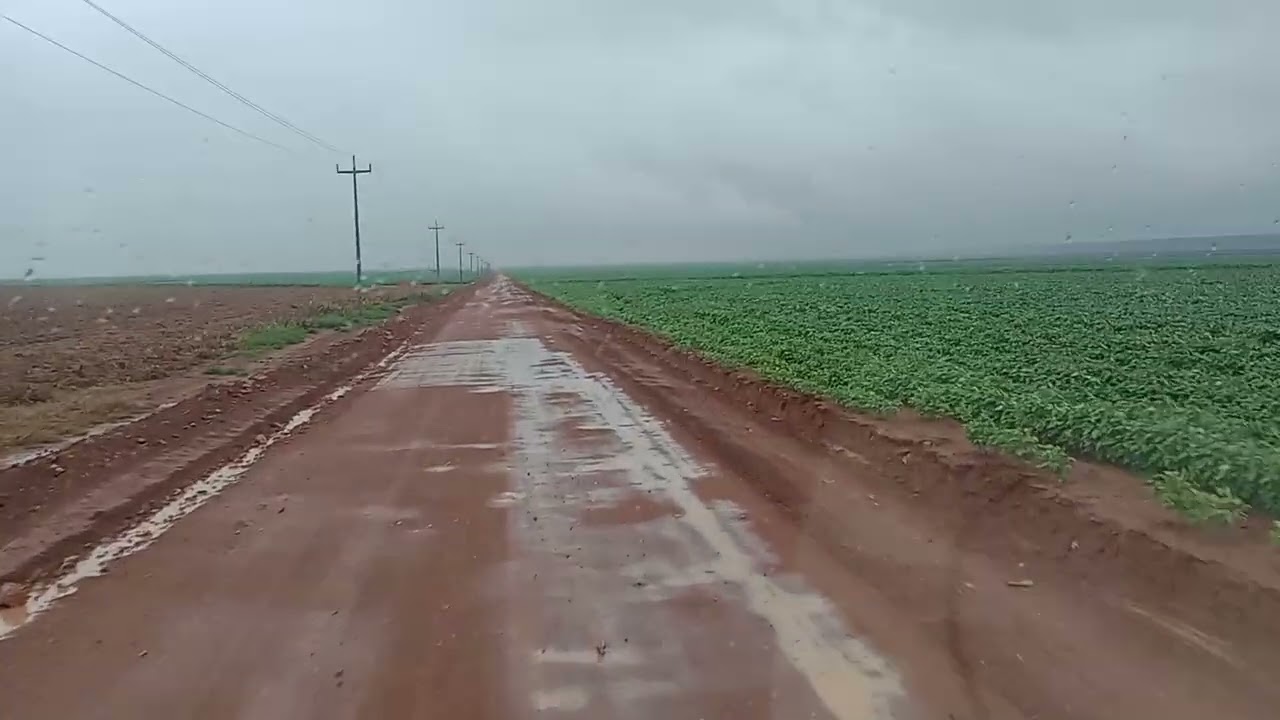 Busca mais uma boiada...