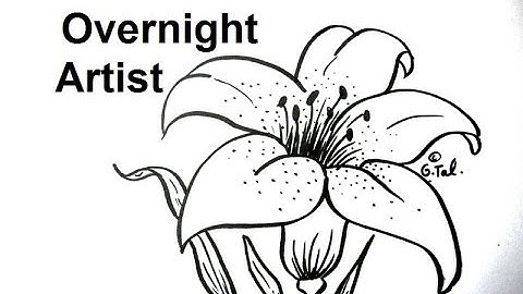 How To Draw Flowers - Draw A Lily Flower Easy Step By Step