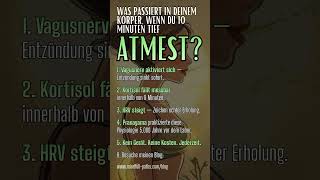Das passiert nach 10 Minuten tiefem Atmen 🫁✨ #atemtechnik #entspannung