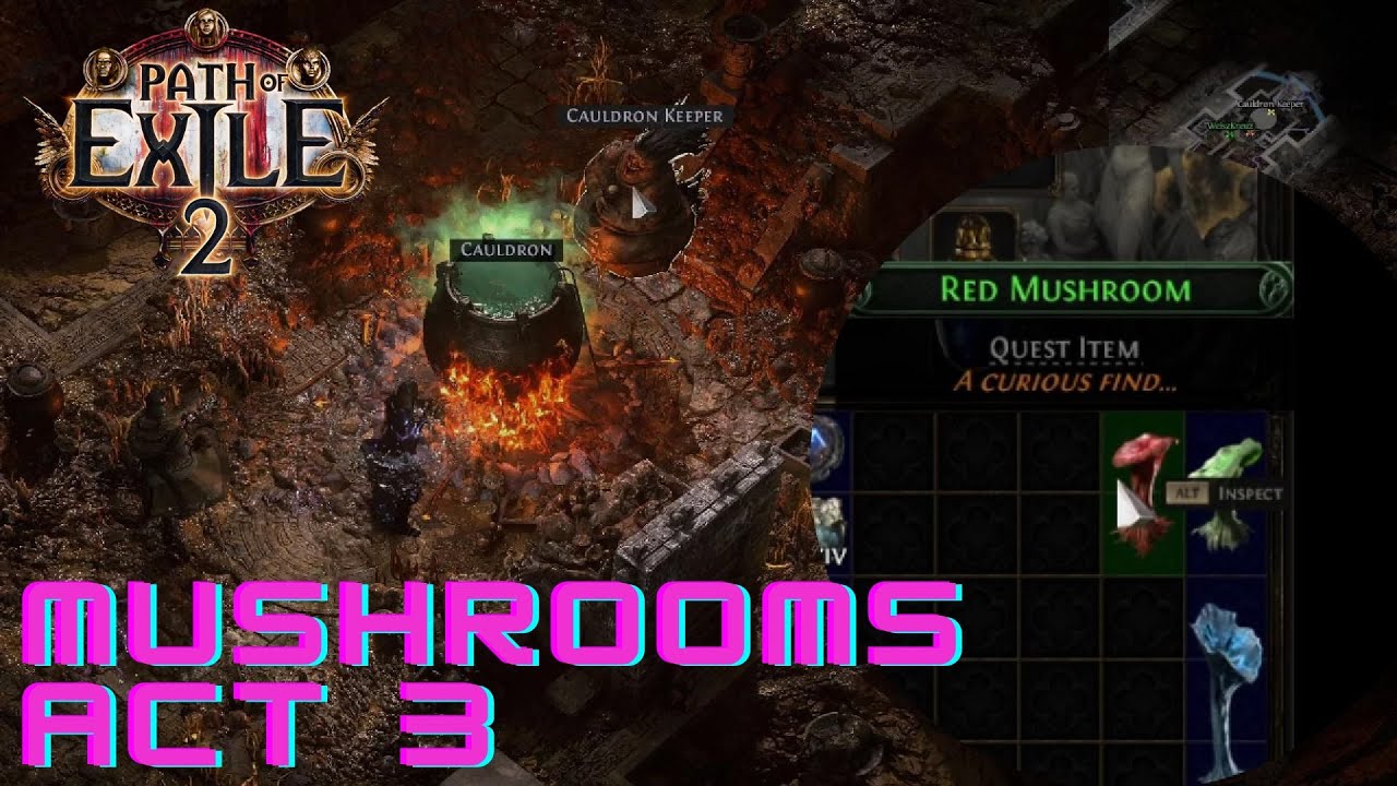 Path of Exile 2 What to do with these MUSHROOMS? 🍄🍄🍄 | Act 3 Side Quest ...