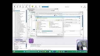 Full Country Info Retrieval with Assertions and Jenkins Automation using SOAPUI