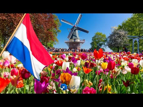 וִידֵאוֹ: דרישות ויזה להולנד
