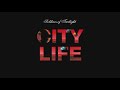 Soldiers Of Twilight - City Life (Dub Mix)