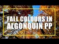 How To See The Best Fall Colours In Algonquin Park