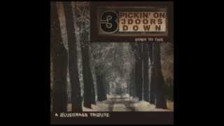 Duck and Run - Bluegrass Tribute to Three Doors Down