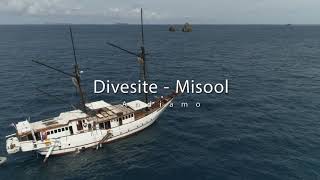 S.M.Y. Ondina & M.Y. Oceanic; DIVESITE ANDIAMO screenshot 4