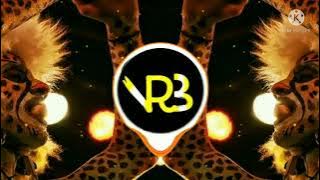 TIGER DANCE REMIX | VRB CREATIONS | PILI DJ SONG REMIX | VRBTVMGM |