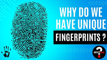 What Makes Our Fingerprints Unique? The Mystery Explained!