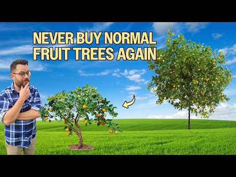 Why You Need These Tiny Fruit Trees