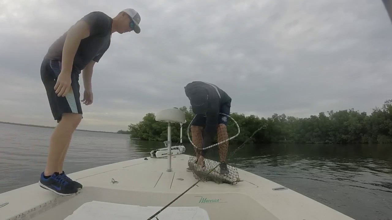 Catching Slot Snook in Fort Pierce YouTube