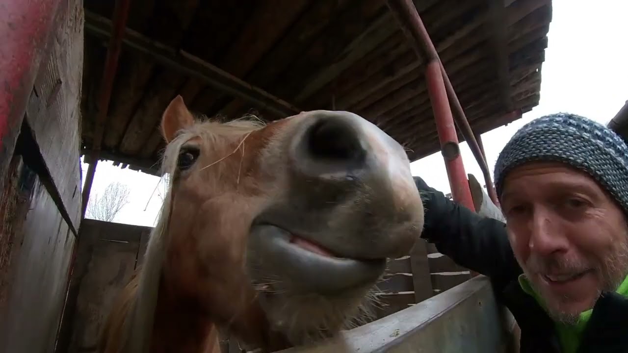 Fattoria Il Rosmarino 11 Giorni Volontari