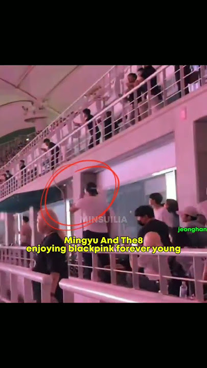 Mingyu,The8 and Jeonghan at blackpink concert #blackpink #seventeen #mingyu #the8 #jeonghan