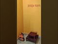 2 BHK flat renovation|| patna #shorts #shortsfeed #youtubeshorts #flats #patna