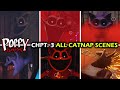 Poppy Playtime: Chapter 3 - All CatNap Scenes