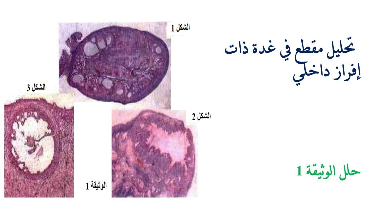 دروس علوم الطبيعة والحياة أولى أدب وفق التدرج  الجديد