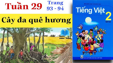 Tiếng Việt Lớp 2 | Tuần 29 | CÂY ĐA QUÊ HƯƠNG | Tập đọc | Trang 93 - 94