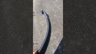 1996 Honda Civic D16Z6 Turbo Catch Can Line replacement. #honda #viral #diy #pubgmobile #racing #cod