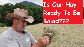 Is Our Hay Dry Enough To Bale