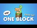 今更！ワンブロックやります
