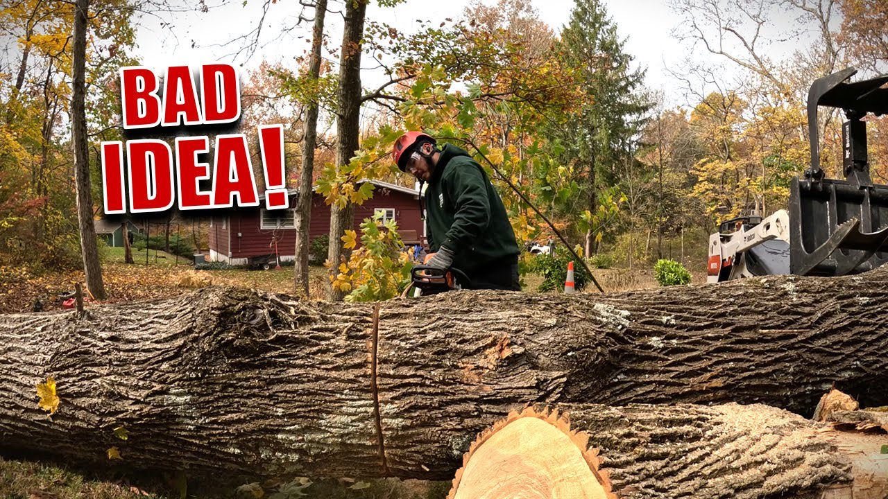 Customer Wants ALL The Dead Trees Gone | Difficult Removal - YouTube
