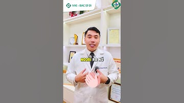 ⚠️ Đau khớp gối dai dẳng – Đeo đai bảo vệ có thực sự hiệu quả?  #iviebacsioi #daibaovekhopgoi #ivie