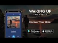 The Waking Up Course - A Lesson on Gratitude