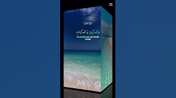 #اكسبلور #تلاوه_خاشعه #تيك_توك #المصحف #القران_الكريم #duet #ترند #دويتو #لايك