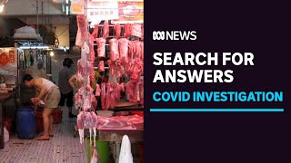 WHO team in China dismisses theory that COVID-19 came from a lab in Wuhan | ABC News