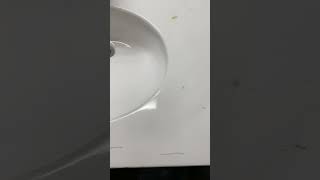 Days Inn Louisville KY on Fern Valley Road
