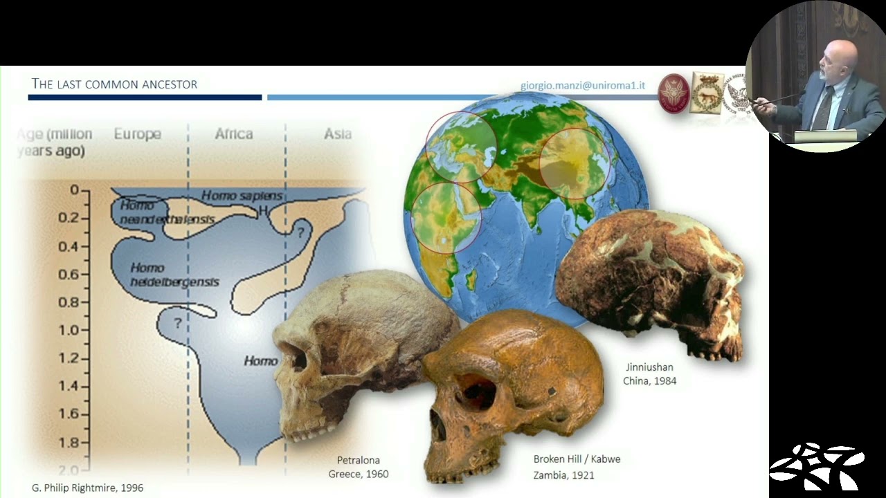 Giorgio Manzi - Ultime notizie sull'evoluzione umana: l'antenato comune a Denisova, Neanderthal e HS
