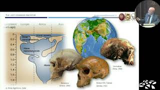 Giorgio Manzi  Ultime notizie sull'evoluzione umana: l'antenato comune a Denisova, Neanderthal e HS