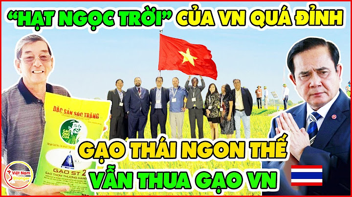 Việt nam gặp thái lan ngày bao nhiêu